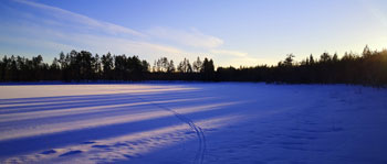Degermyrtjärnen
